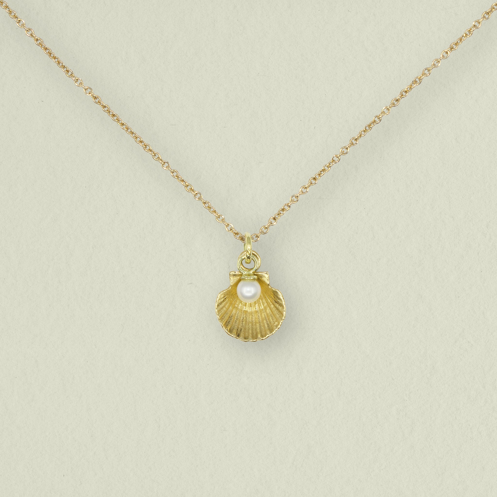 MUSCHEL • kette • gold